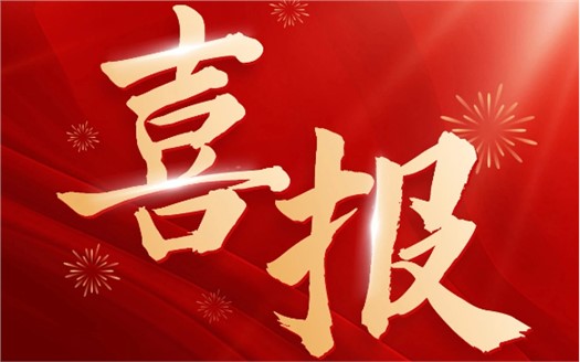 集团荣膺2025中国民营企业500强第249位，制造业民营企业500强第177位，排名较去年双双大幅提升